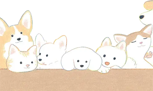 背景画像